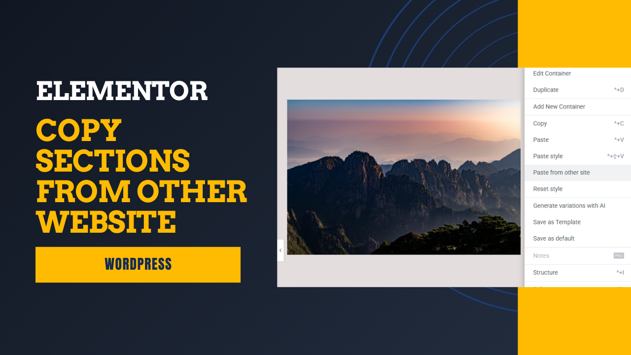 How to Copy Section From Other Site in Elementor